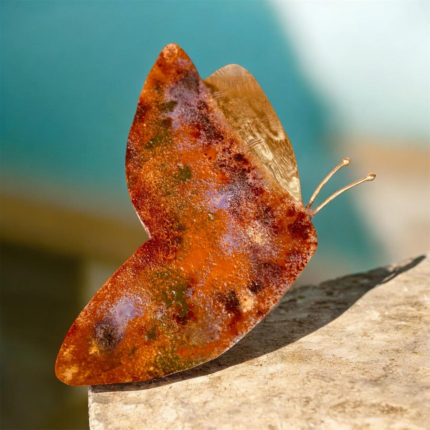 Farfalla la Spilla, un gioiello senza tempo.